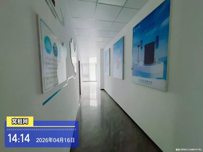 宁波金山中心独栋办公室招租面积346平米市区稀缺别墅房源