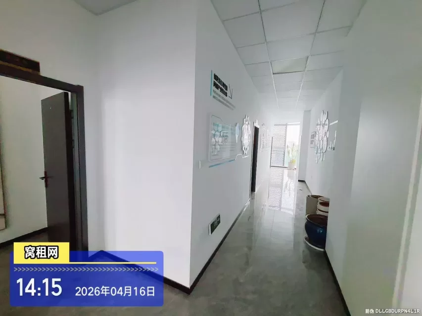 宁波金山中心独栋办公室招租面积346平米市区稀缺别墅房源