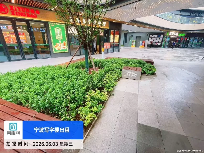 宁波萤集(图10) 宁波萤集(图12)