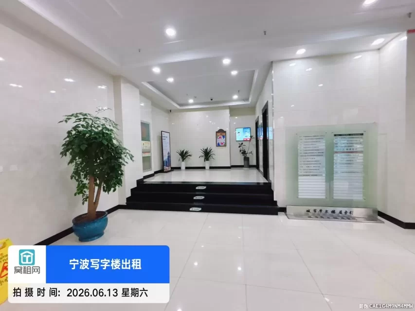 城市摩尔