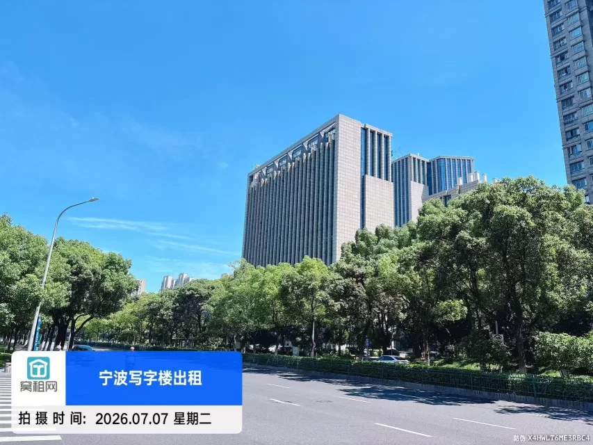 盛世国际