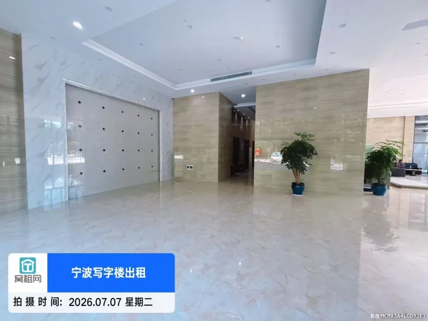 盛世国际