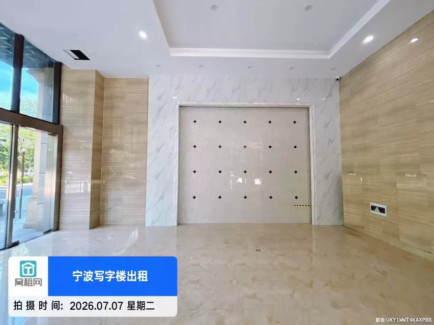 盛世国际