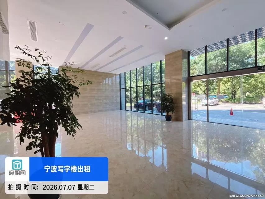 盛世国际