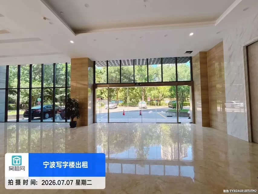 盛世国际