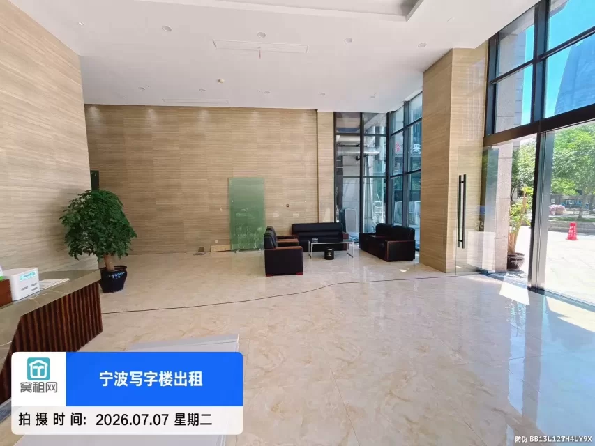 盛世国际