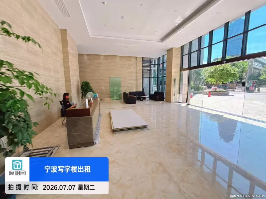 盛世国际