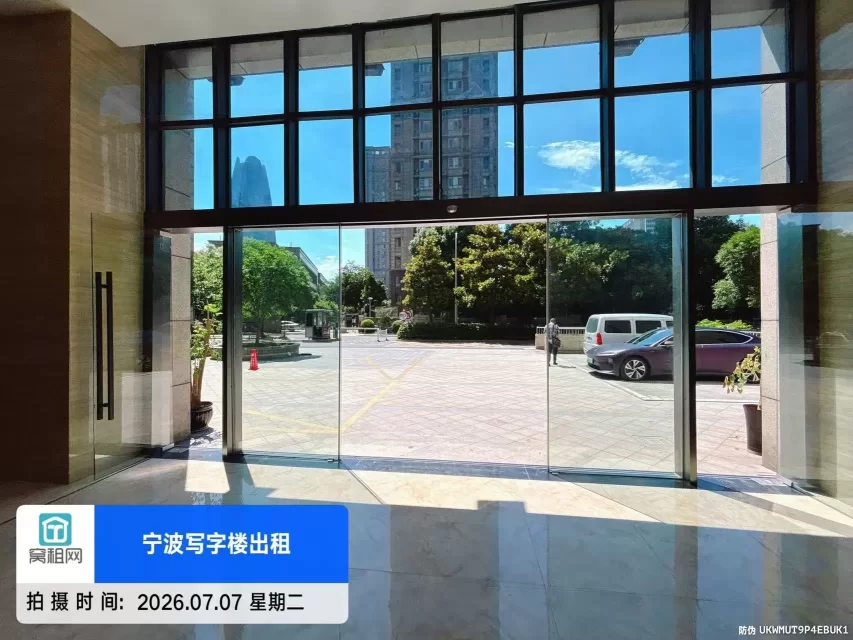 盛世国际