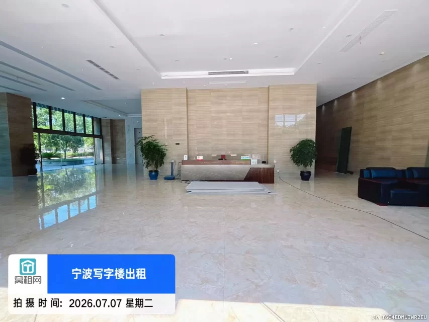 盛世国际