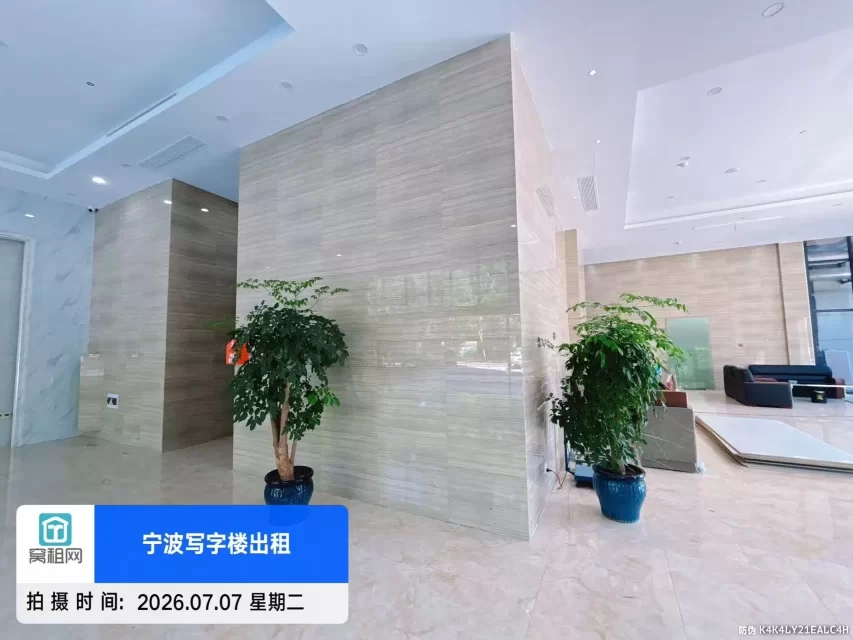 盛世国际