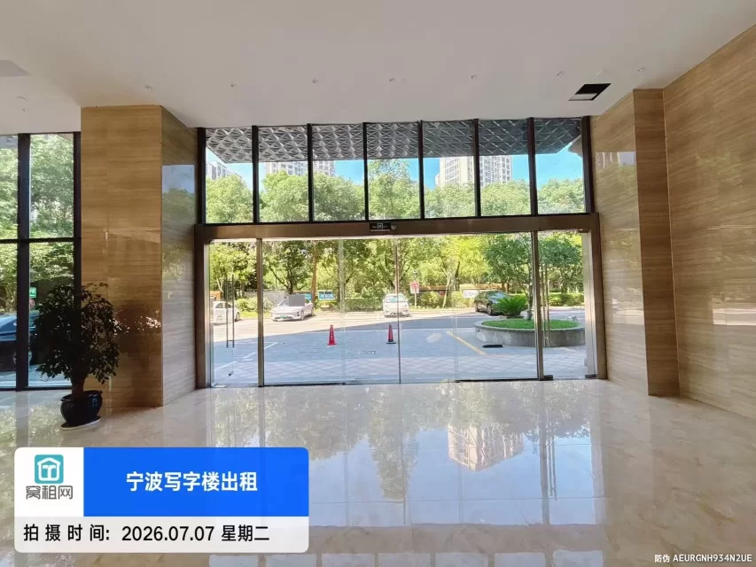 盛世国际