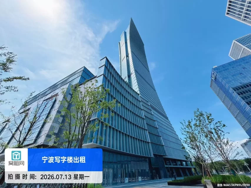 新一中心