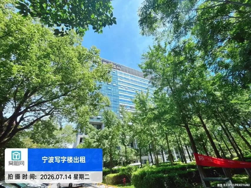 新城国际