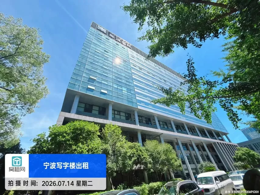新城国际