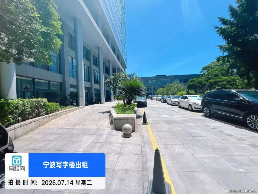 新城国际