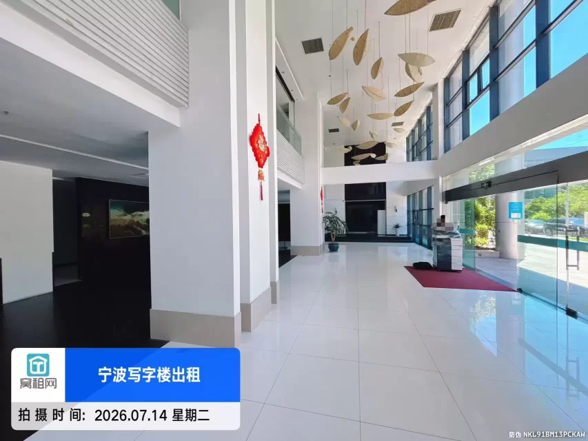 新城国际