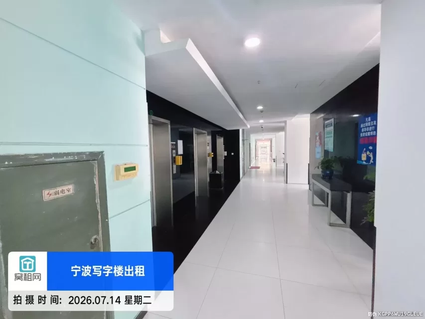 新城国际