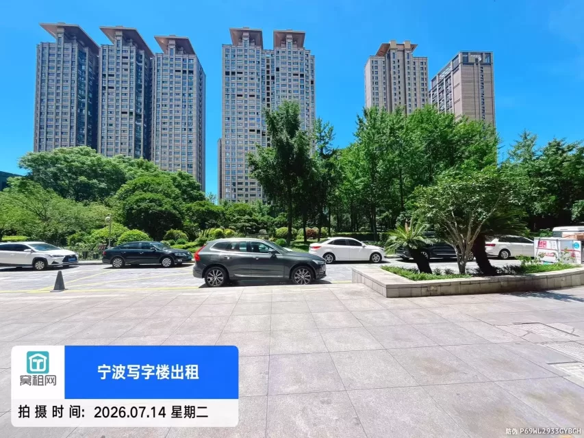 新城国际