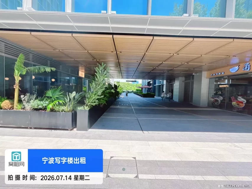 大家中心(图7) 大家中心(图7)