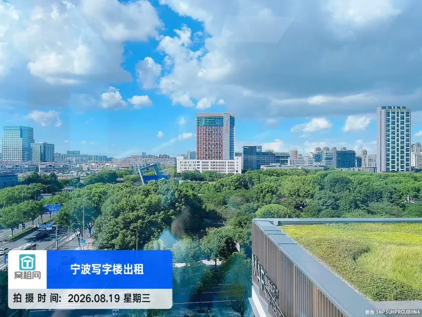 银晨国际