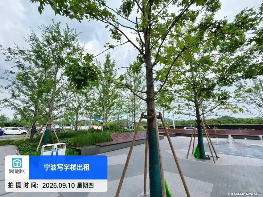 宁波北仑智能汽车产业园停车收费