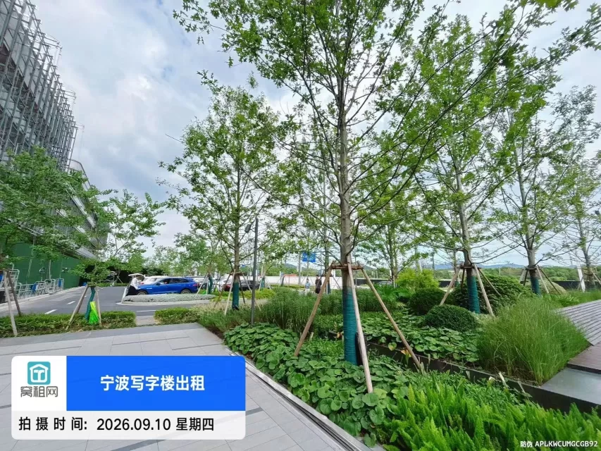 宁波北仑智能汽车产业园停车收费