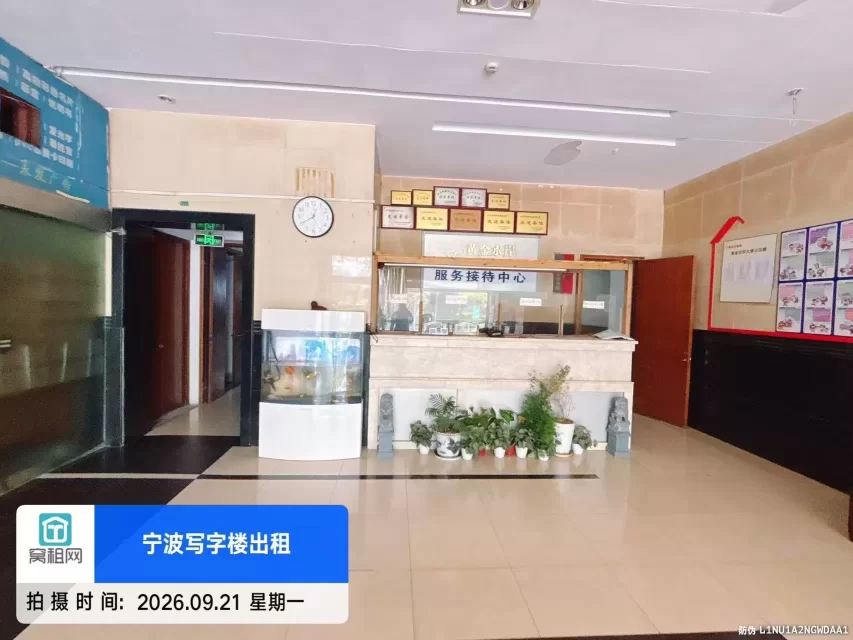 黄金水岸