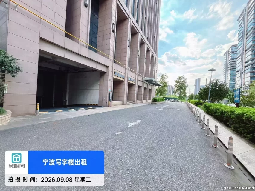 天星锦钻