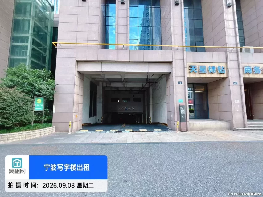 天星锦钻