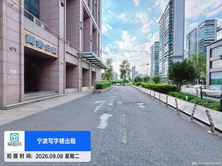 天星锦钻