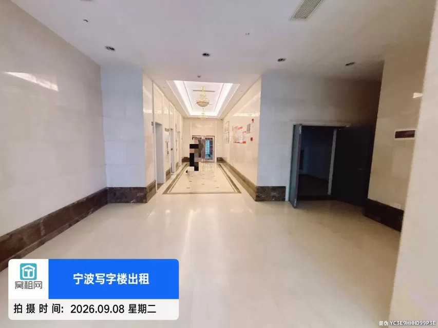 天星锦钻