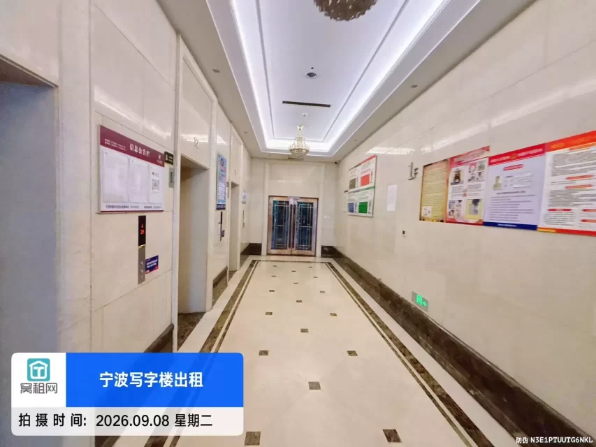 天星锦钻
