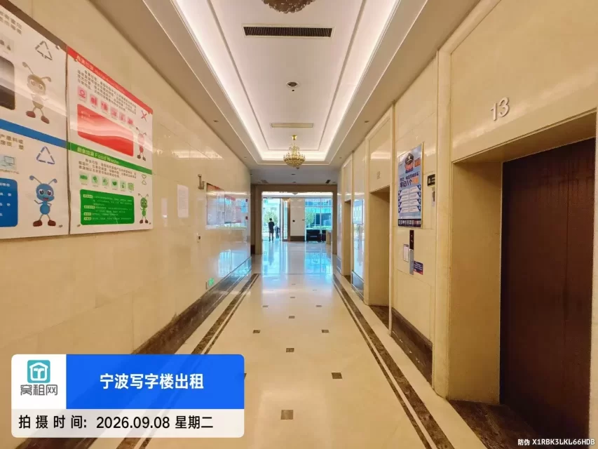 天星锦钻