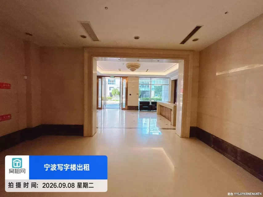 天星锦钻