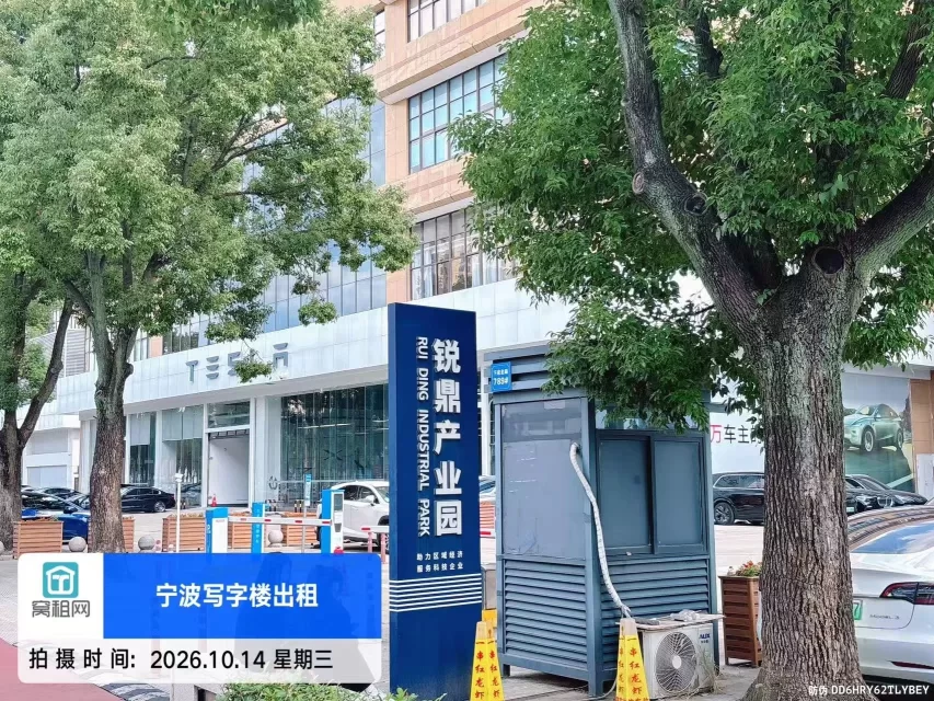 锐鼎加速器