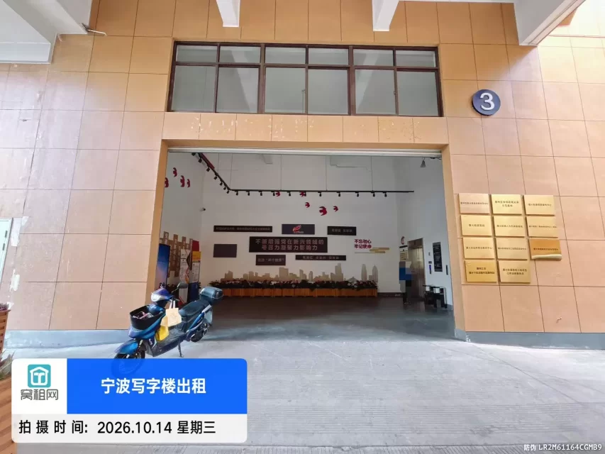锐鼎加速器