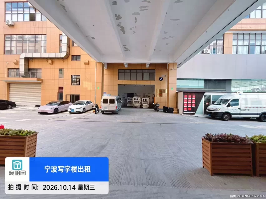 锐鼎加速器
