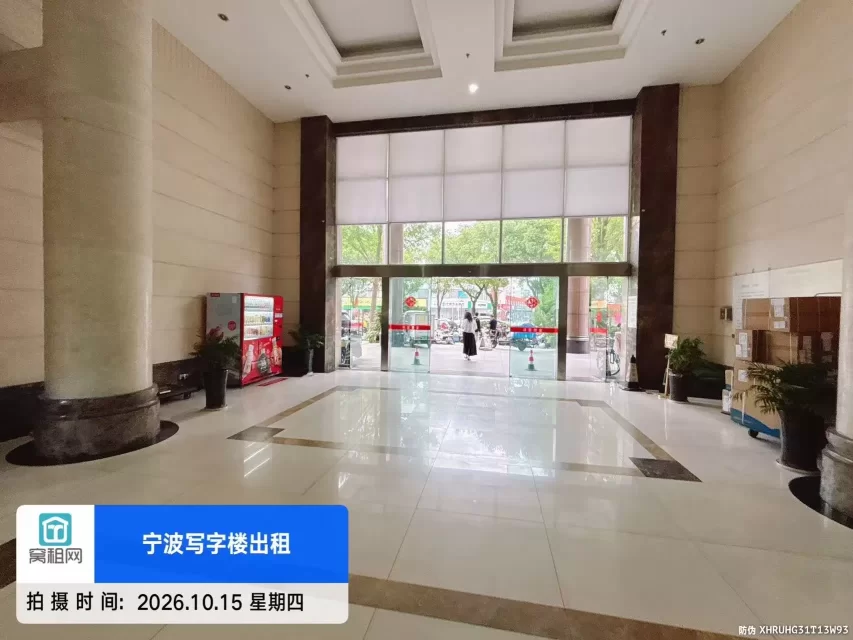 金都国际