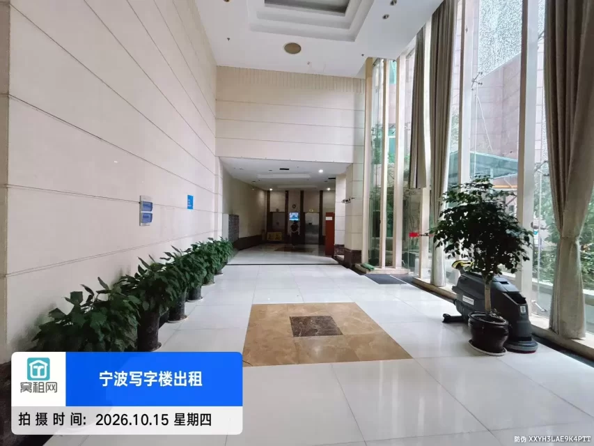 金都国际