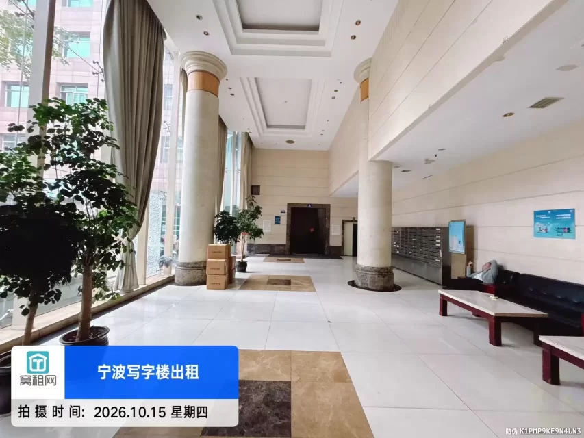 金都国际