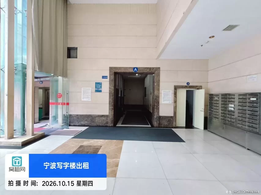 金都国际