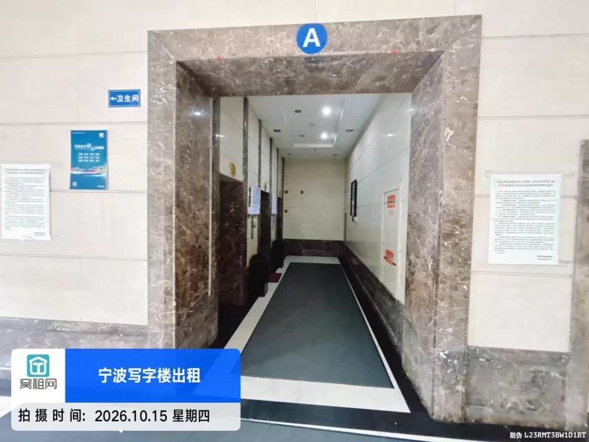 金都国际