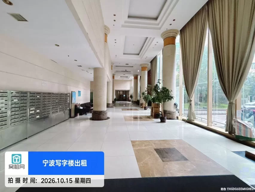 金都国际