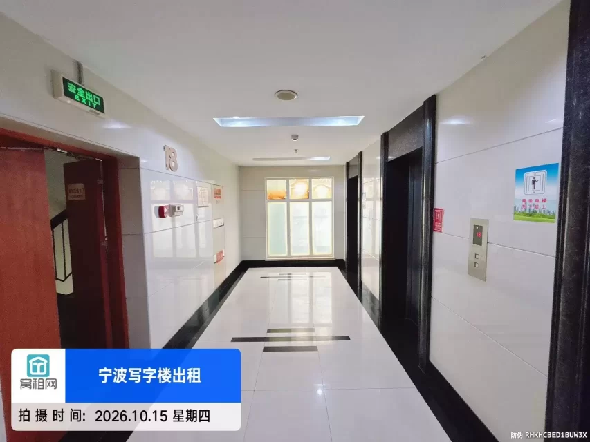 金都国际