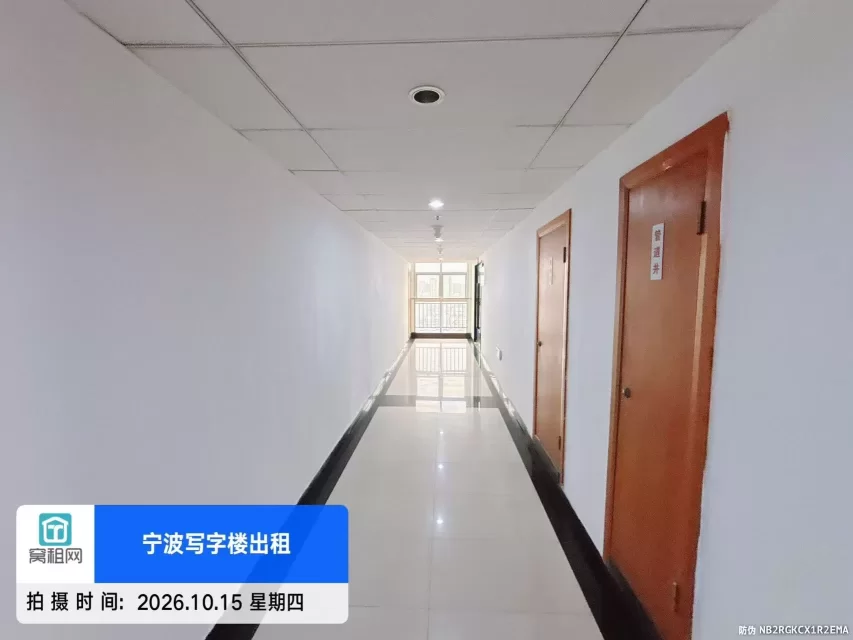 金都国际