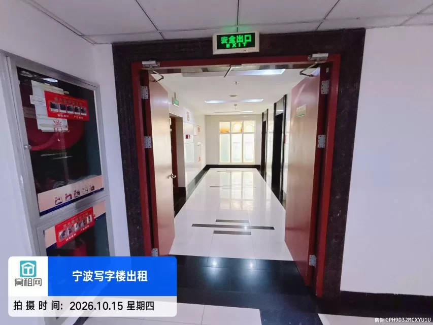 金都国际