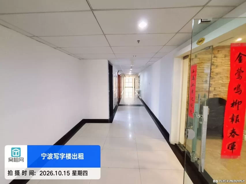 金都国际