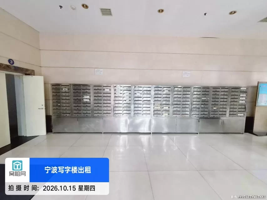 金都国际