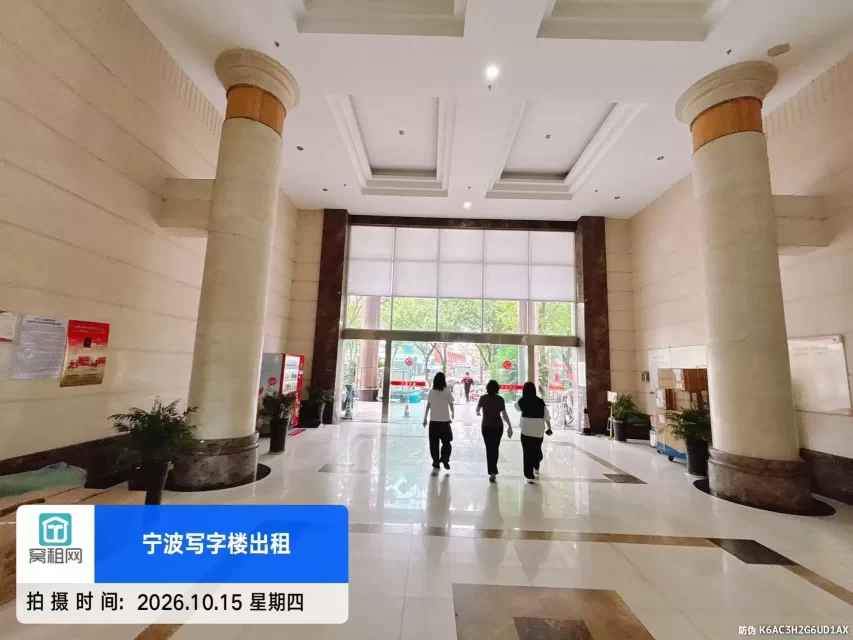 金都国际
