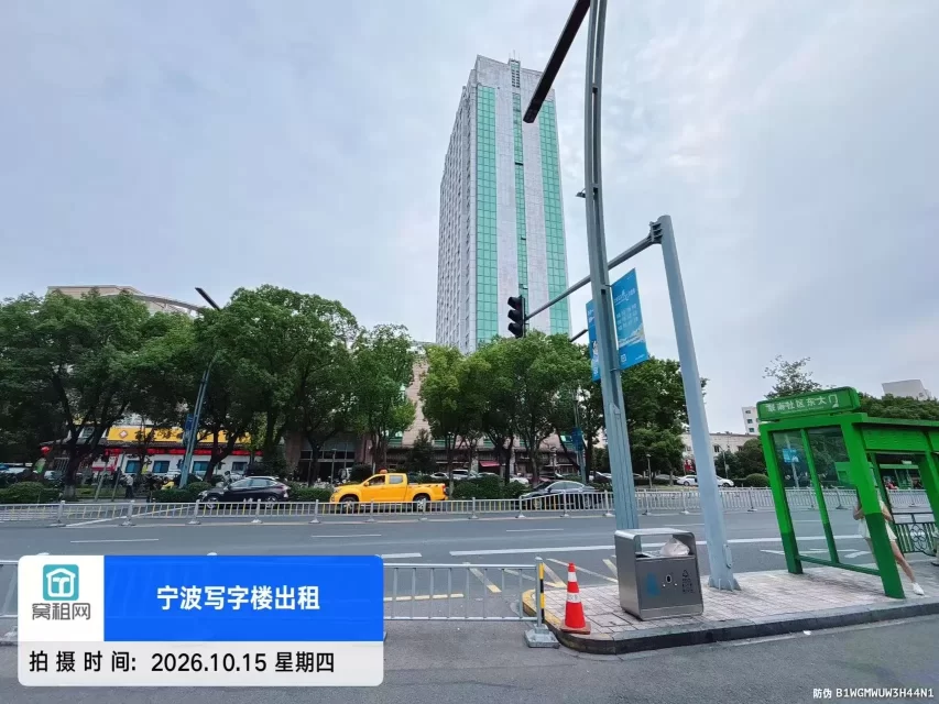 金都国际
